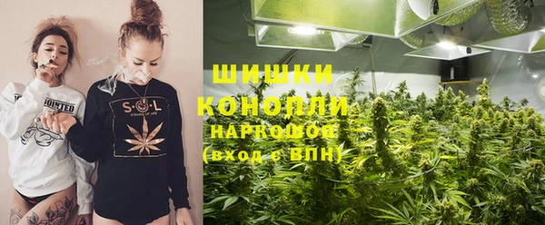 шишки Дмитров