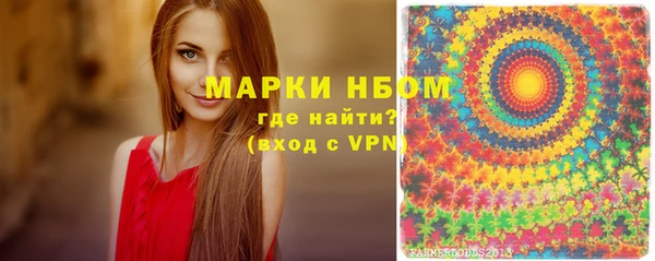 винт Гусь-Хрустальный